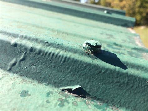 how to fix a steel roof that leaks around the screws|5 Common Causes of Metal Roof Leaks & Repair。